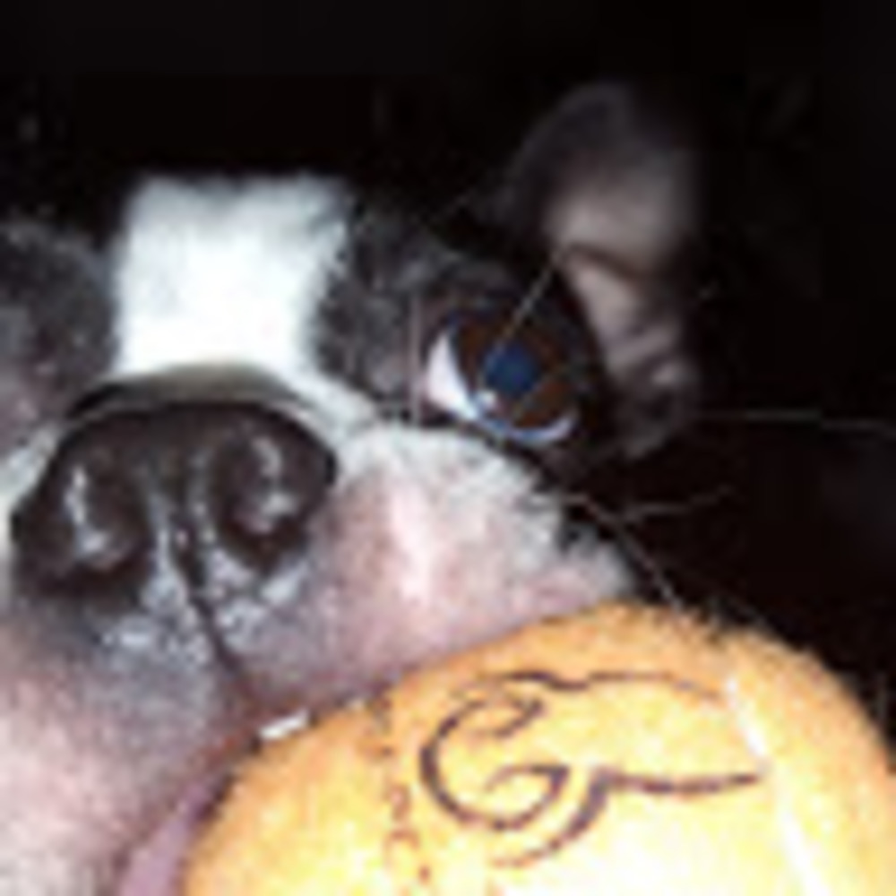 Meet your Posher, Maria